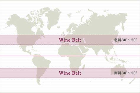 ワイン ブドウ品種 一覧